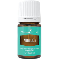 Angelica Essential Oil (5ml)